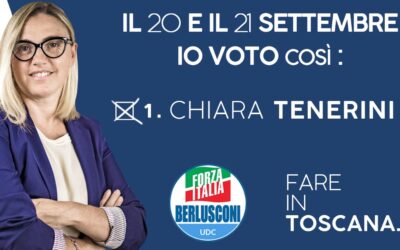 Tenerini elezioni regionali
