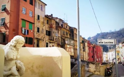 Carrara