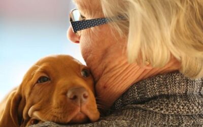 Pet therapy RSA Livorno