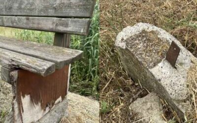 Cecina panchine