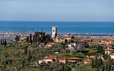 Massarosa