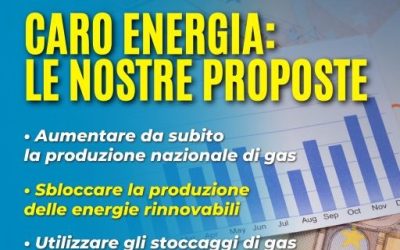caro energia proposte Forza Italia