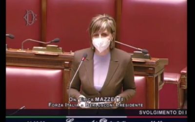 Erica Mazzetti Forza Italia Energia Edilizia Appalti