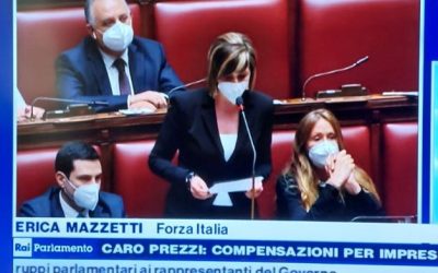 Erica Mazzetti Forza Italia Question Time lavori pubblici