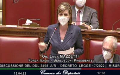 Erica Mazzetti dl energia forza italia